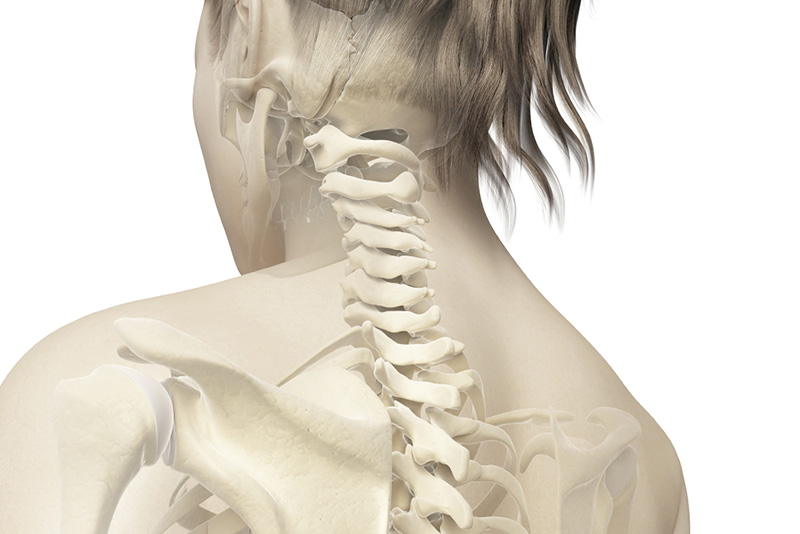 Anatomie Gestes & Posture