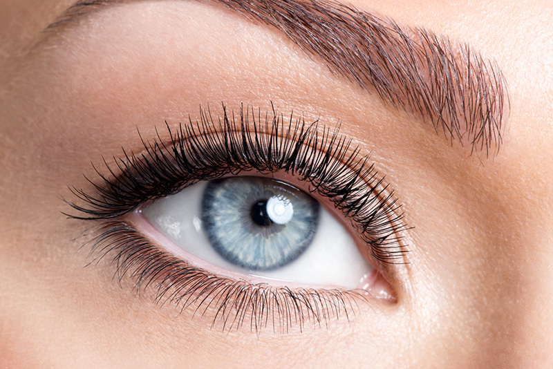 Réhaussement des Cils