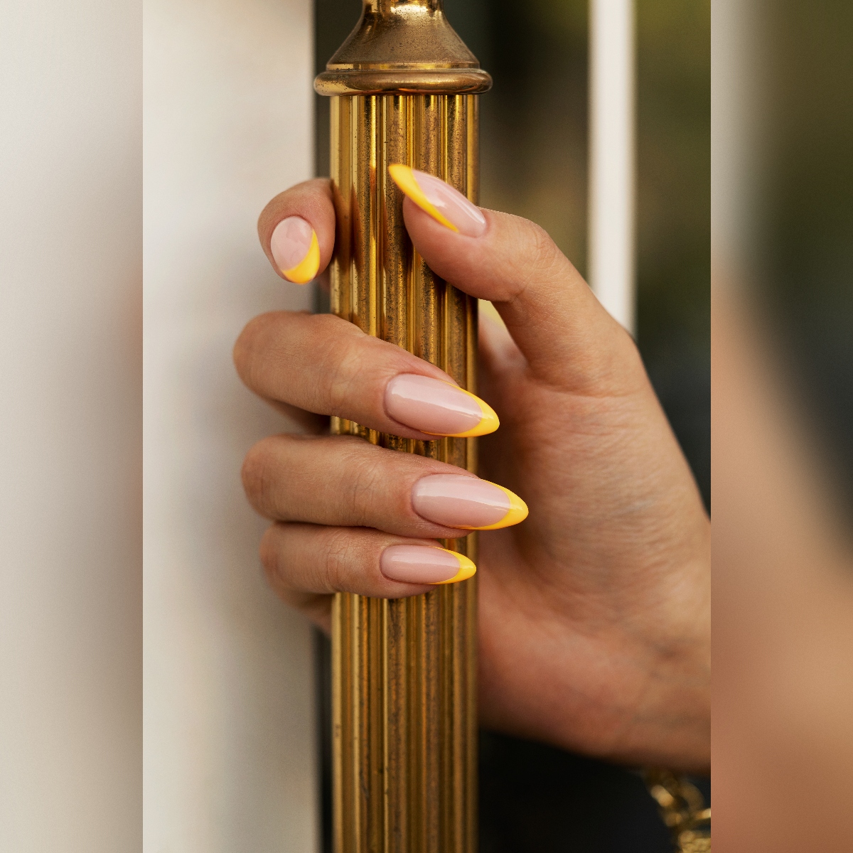 Chablon - Maitrise Totale