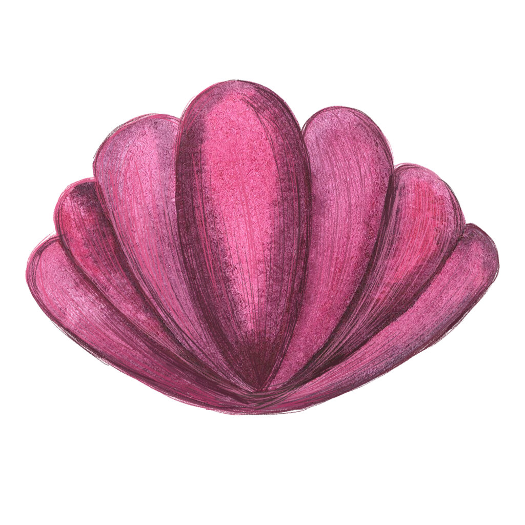 Modelage Cryoshell des Jambes