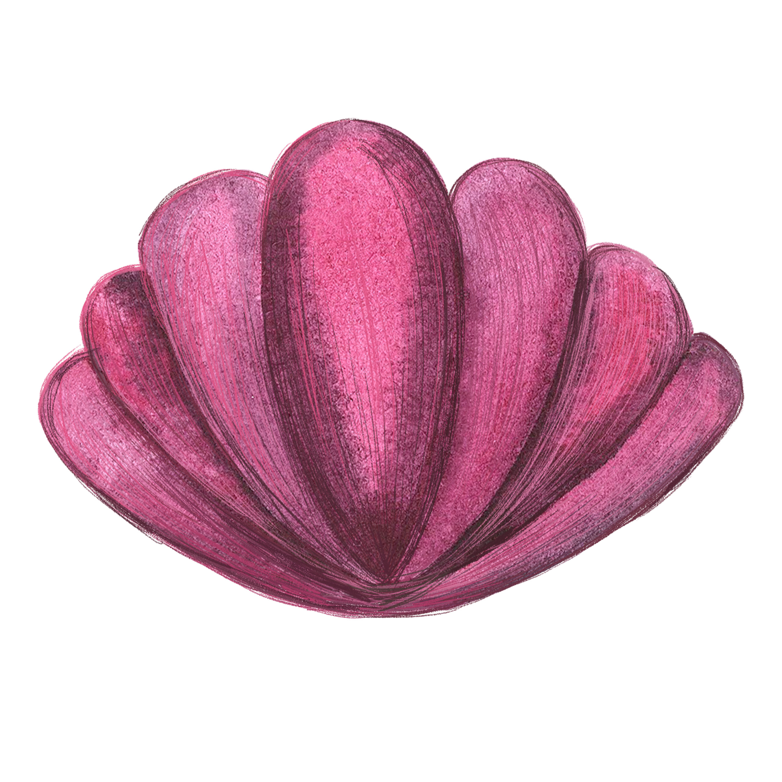 Modelage Cryoshell des Jambes